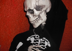 DSCF3061